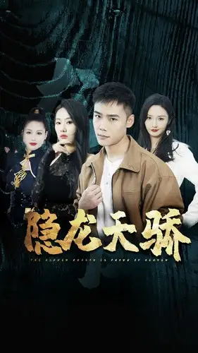 6611-隐龙天骄&龙凤天骄（80集）胡冬晴