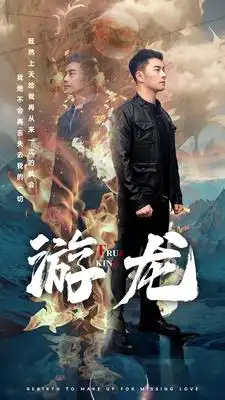 7618-游龙（74集）