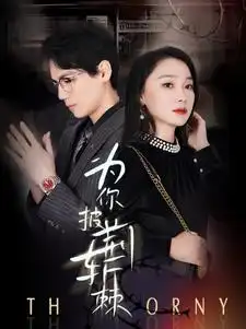 8062-为你披荆斩棘（90集）