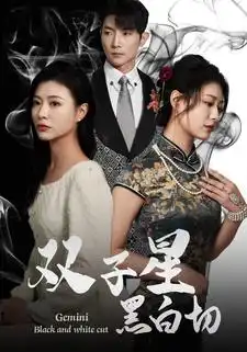 8065-双子星黑白切（82集）