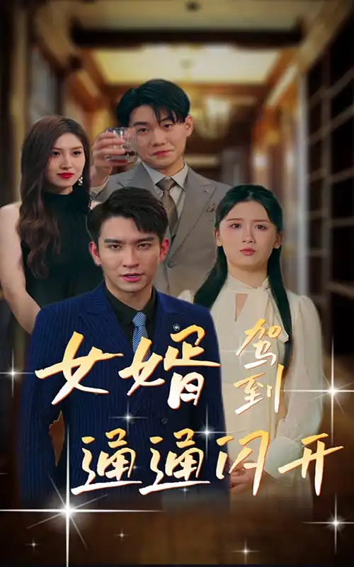 8447-女婿驾到，通通闪开（34集）