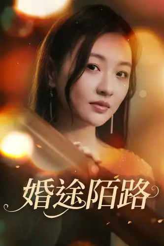 8525-婚途陌路（15集）