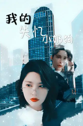 8547-我的失忆小奶狗（64集）秦天爱&柯俊
