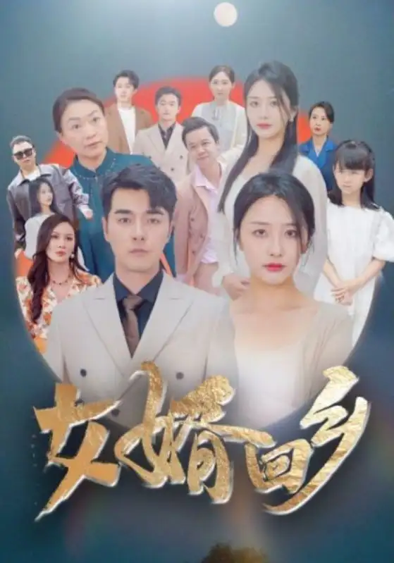 8594-女婿回乡（120集）