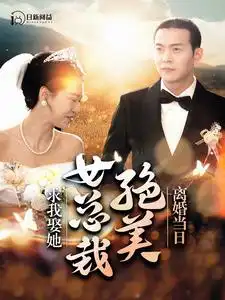 9163-离婚当日，绝美女总裁求我娶她（95集）钱谦