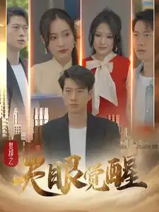 9199-赘婿之天眼觉醒(100集）