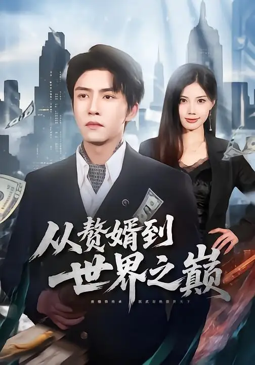 94-从赘婿到世界之巅（93集）莫书铭&苏文文