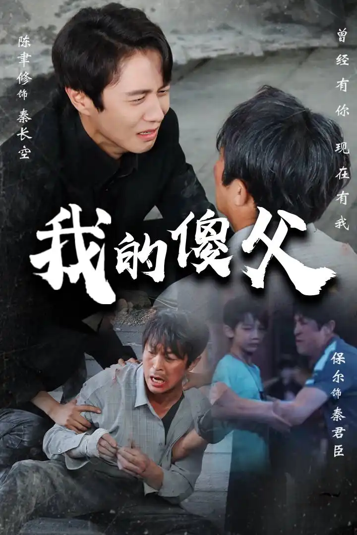 9503-我的傻父（74集）