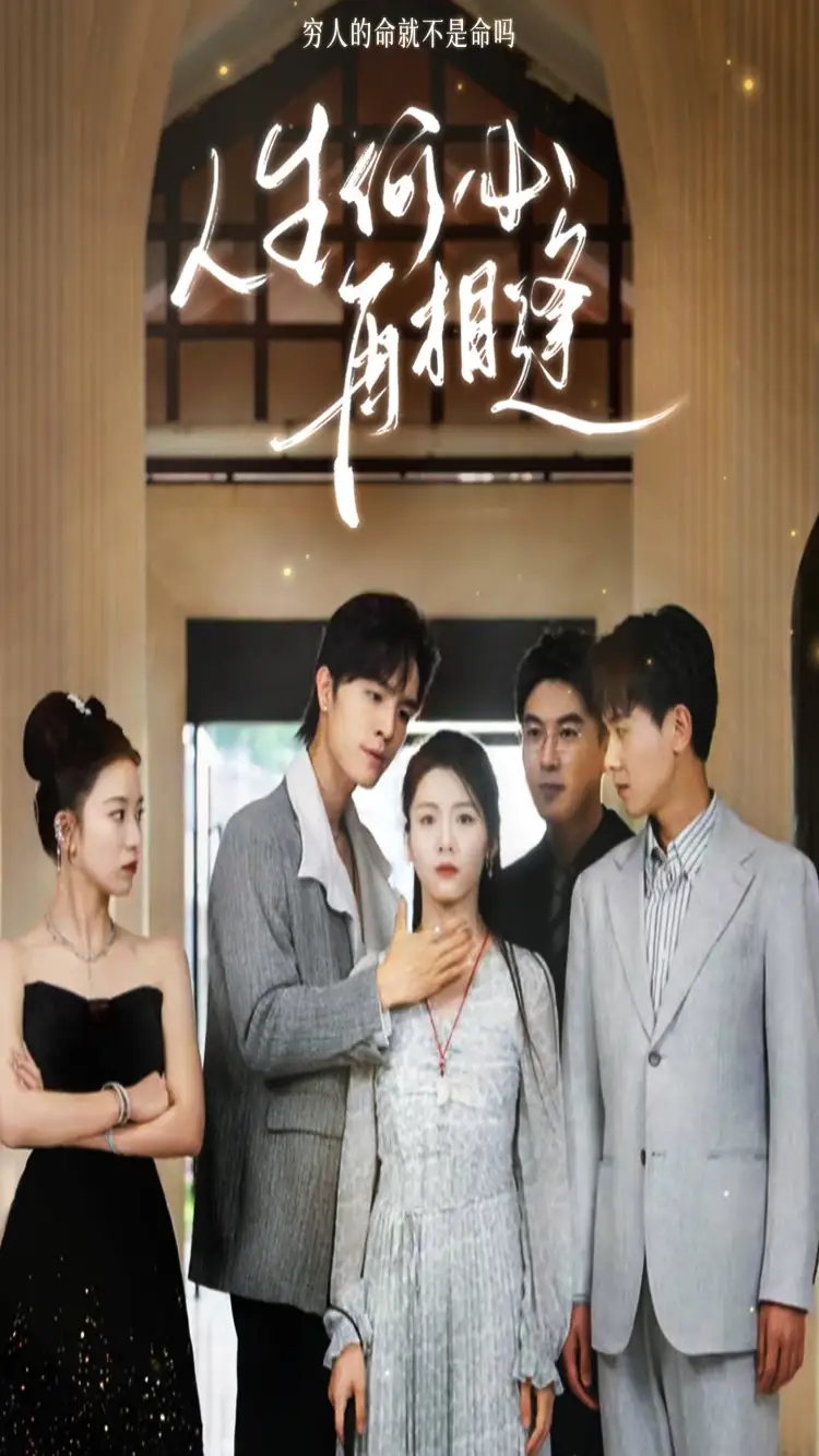 9733-人生何必再相逢（80集）